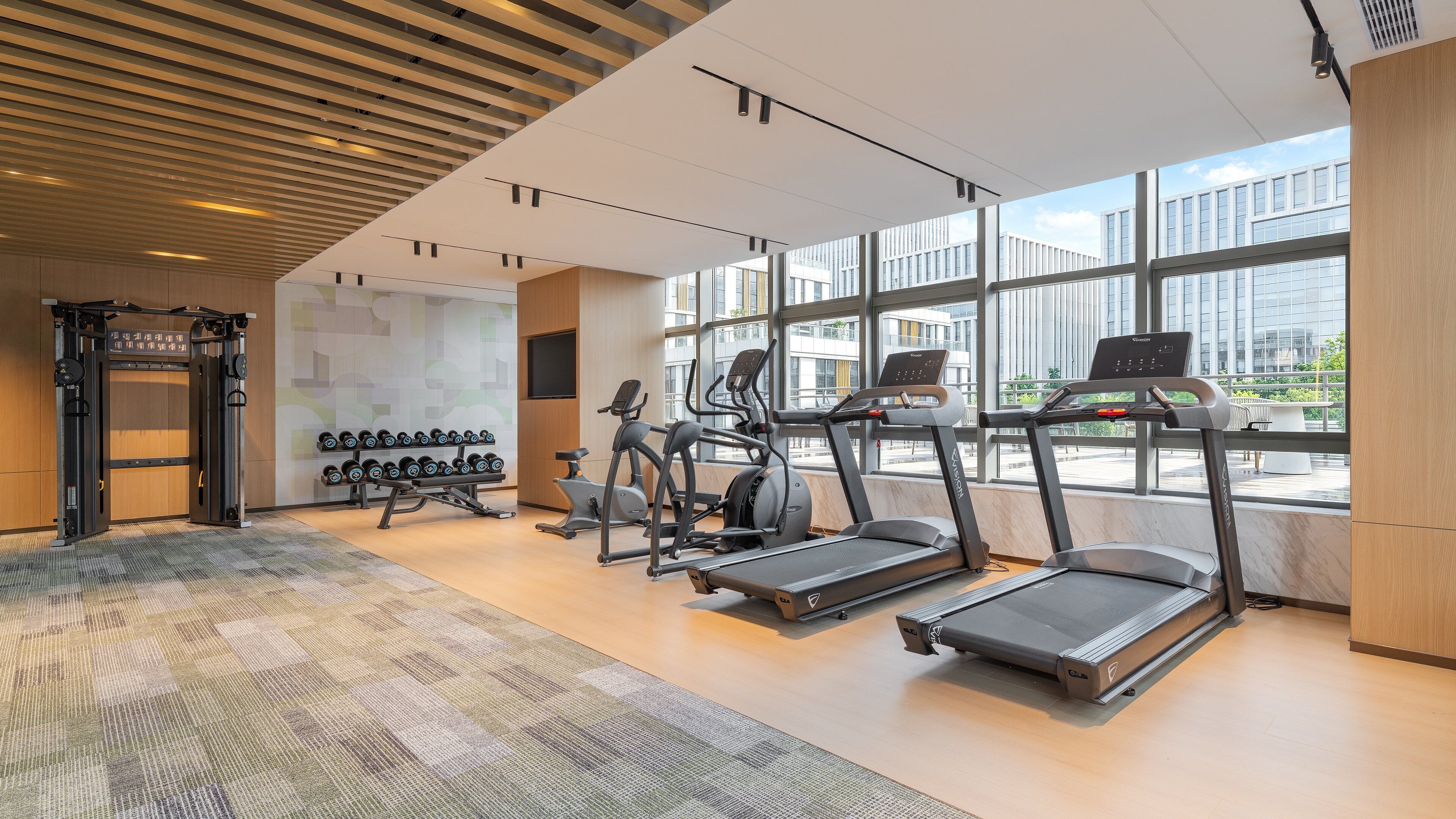 A gym with treadmills, elliptical machines, and a squat rack with dumbbells.