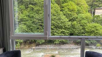 Luxury Condo, River View | Interior