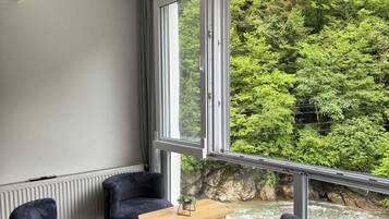 Luxe appartement, uitzicht op rivier | Woonruimte | Een 60-cm smart-tv met kabelzenders