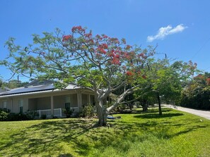 Property grounds - Luxurious & Earthy RV Suite set in our mango grove, near everything Space Coast (Merritt Island)