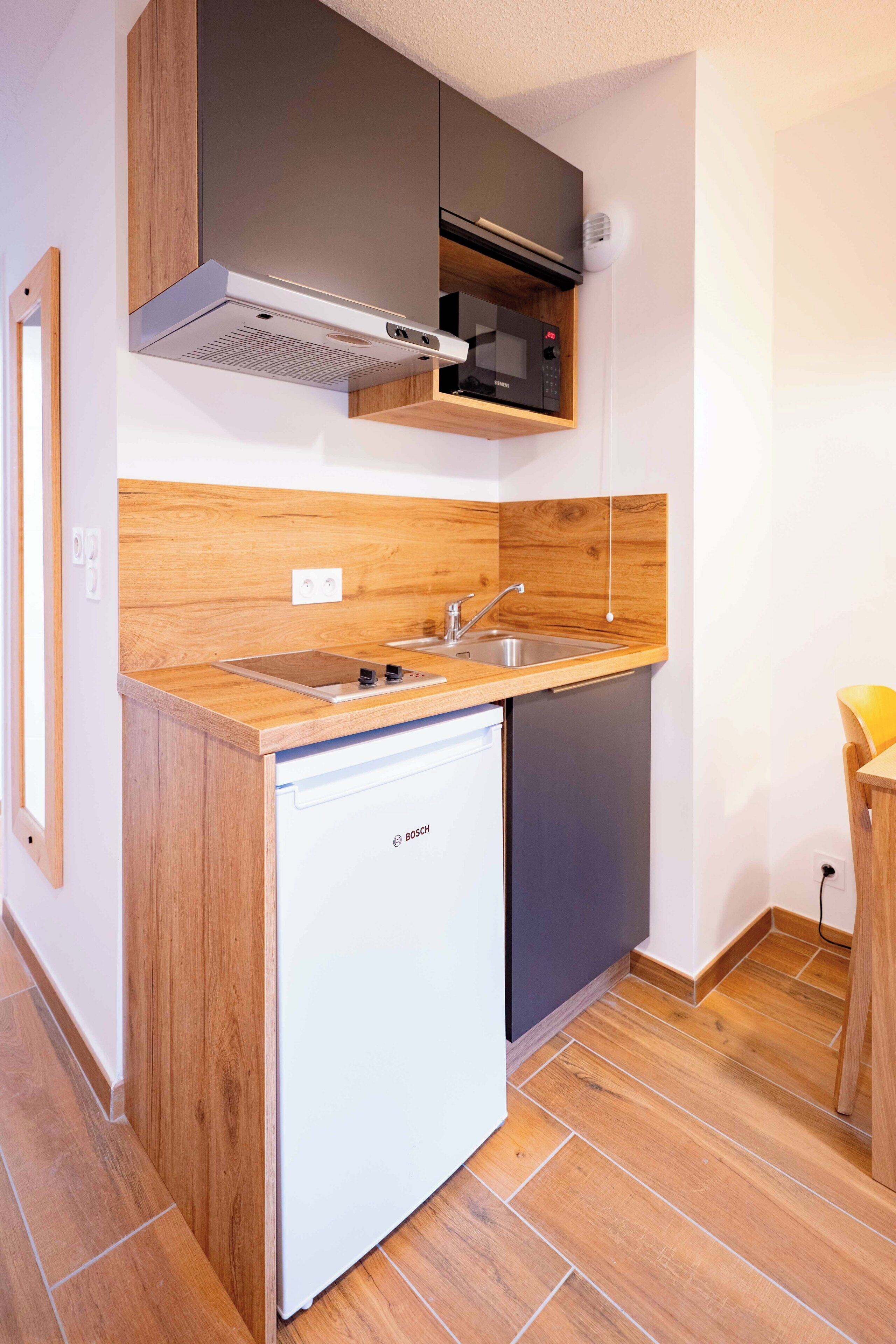 Klassieke studio, balkon, uitzicht op bergen | Privékeuken | Een koelkast, een microgolfoven, een kookplaat, een vaatwasser
