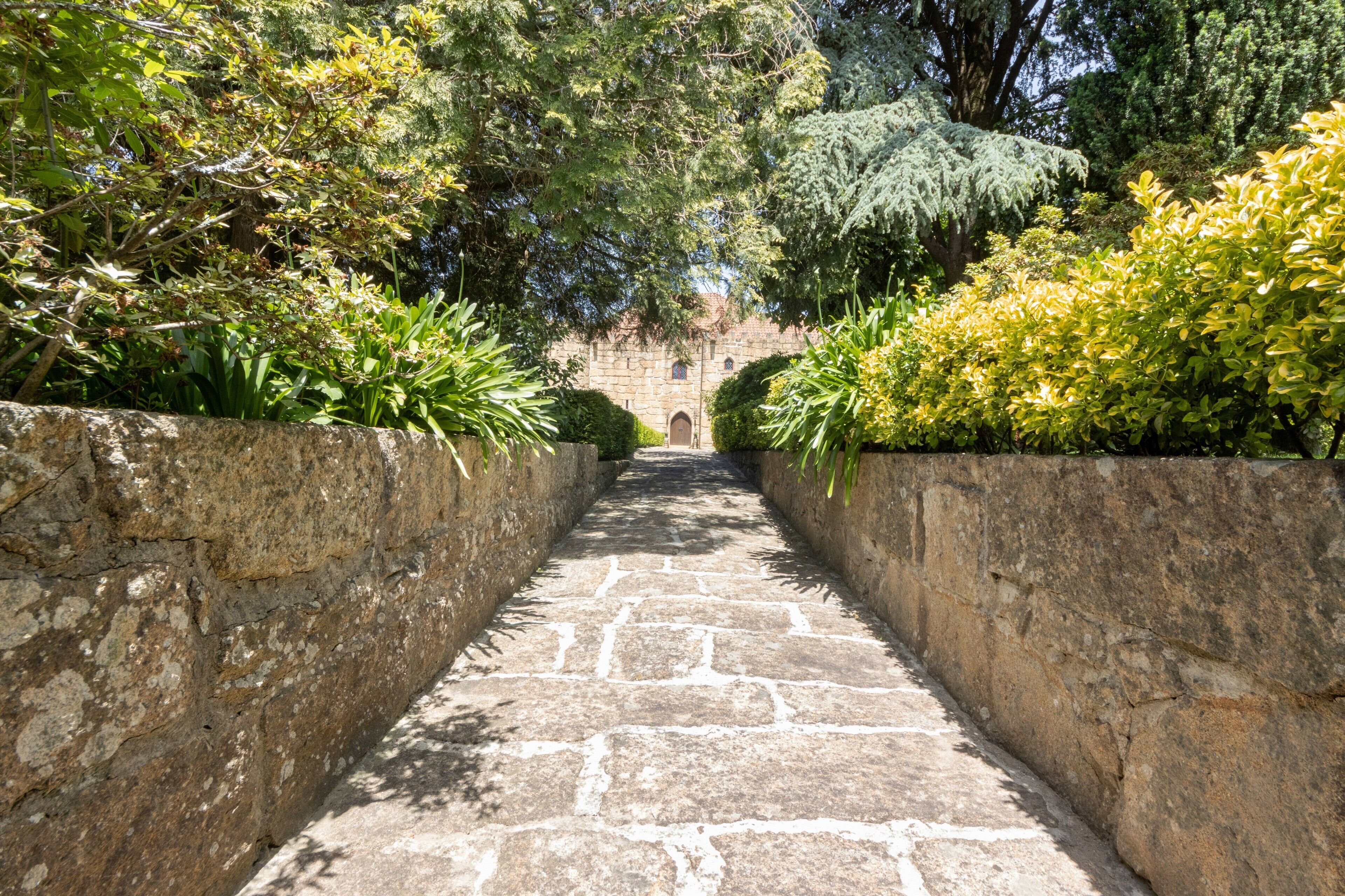 A stone pathway leading to a building surrounded by lush greenery.