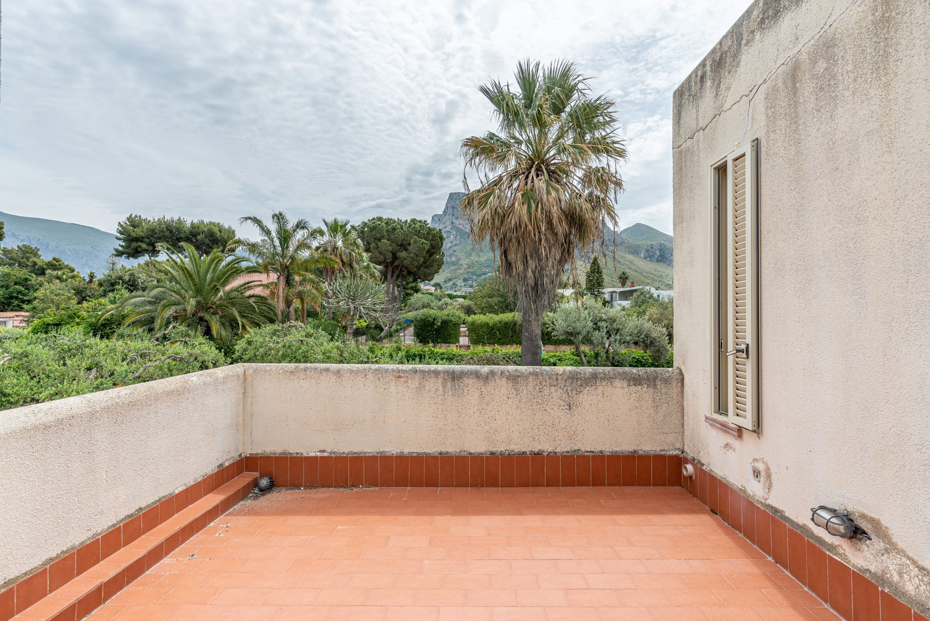 A rooftop terrace with a view of a mountain, palm trees, and a building with a window.