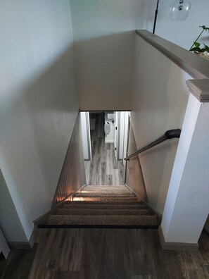 Eine Treppe mit Geländer, mit Teppich belegten Stufen und einem Holzboden.