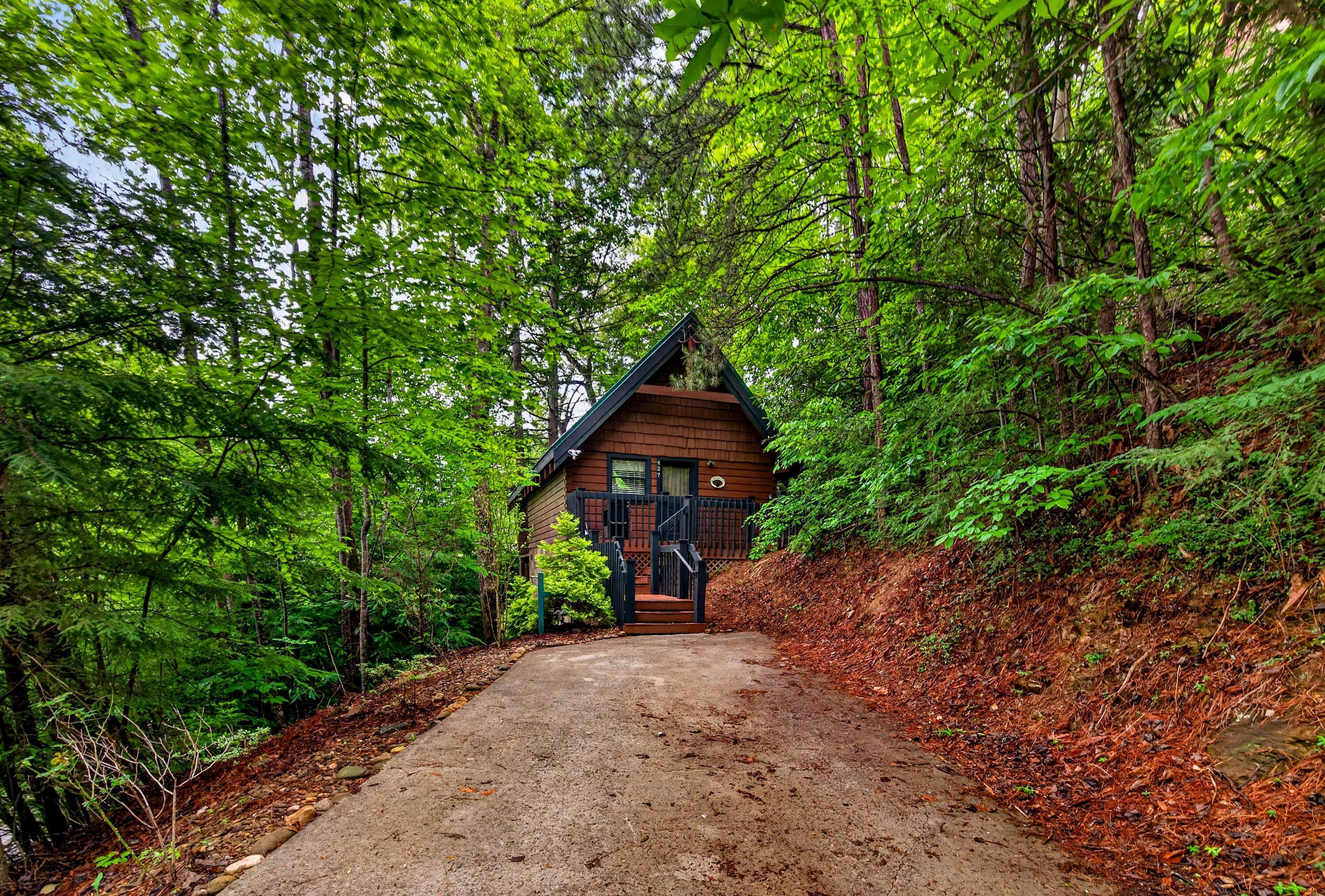 A cabin with a dirt path leading to it, surrounded by dense forest.
