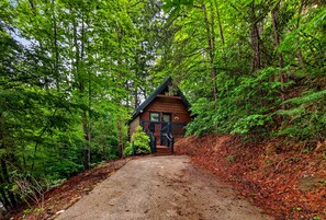 Eine Hütte, von einem Feldweg durch dichtes Waldgebiet erreichbar.