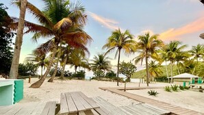 Een strand met houten picknicktafels, palmbomen en een houten terras.