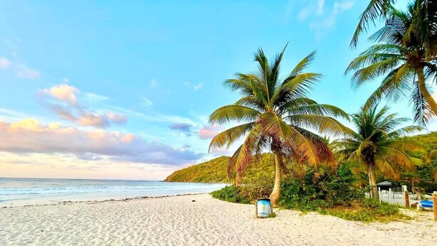 Een strand met zand, palmbomen en een heldere lucht.