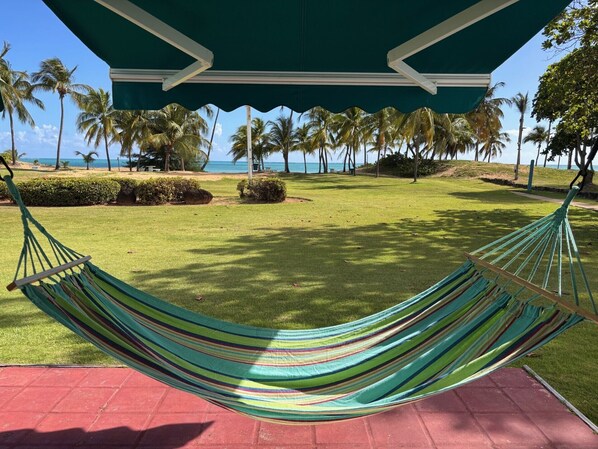 A hammock under a green awning, a grassy area, and palm trees. - Beach Front - Steps to beach 2-bdr remodeled Apt in Río Grande (Río Grande)