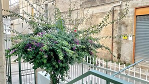 Un balcone con ringhiera verde, una pianta in vaso con fiori viola e una porta chiusa sullo sfondo.