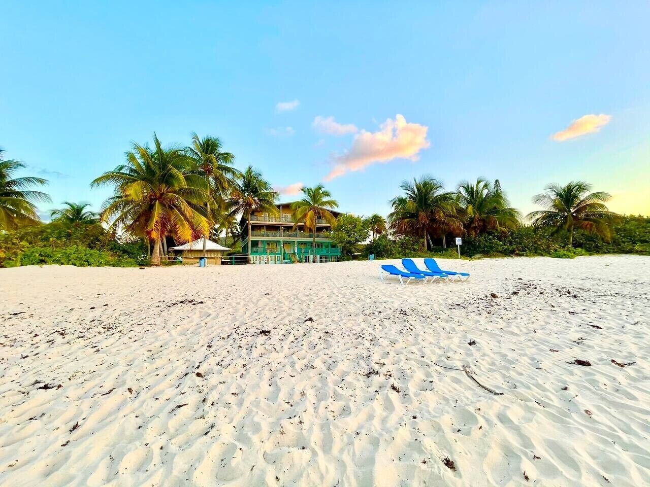 Une plage avec un bâtiment et des palmiers.
