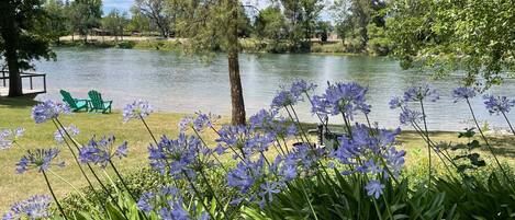 A lakeside view with green chairs, a tree, and purple flowers.