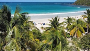 Una playa con palmeras, una orilla arenosa y el océano.