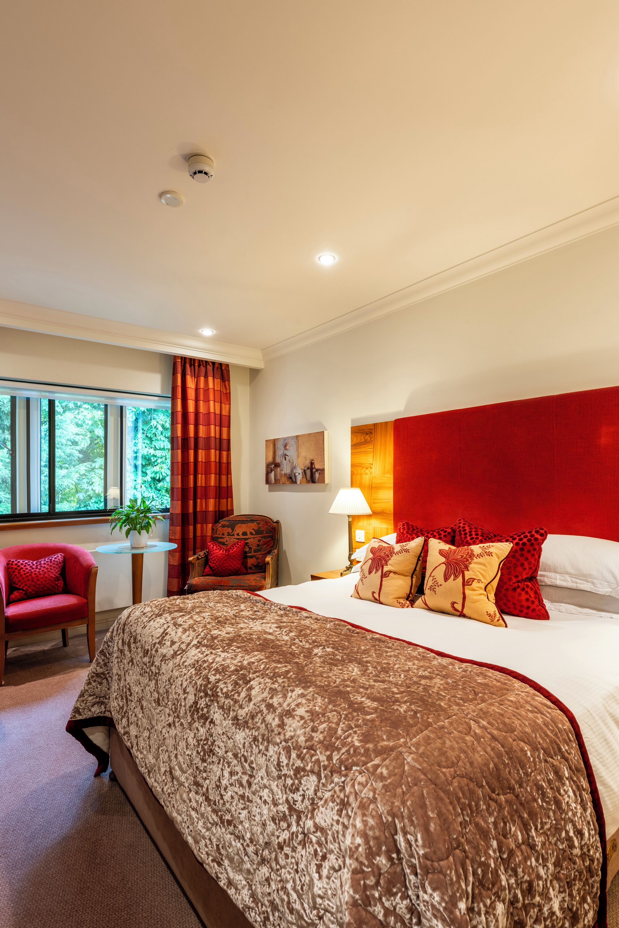 Chambre Standard double | Accès au Wi-Fi (inclus)