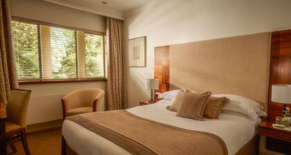 Knights Suite Rooms and Events