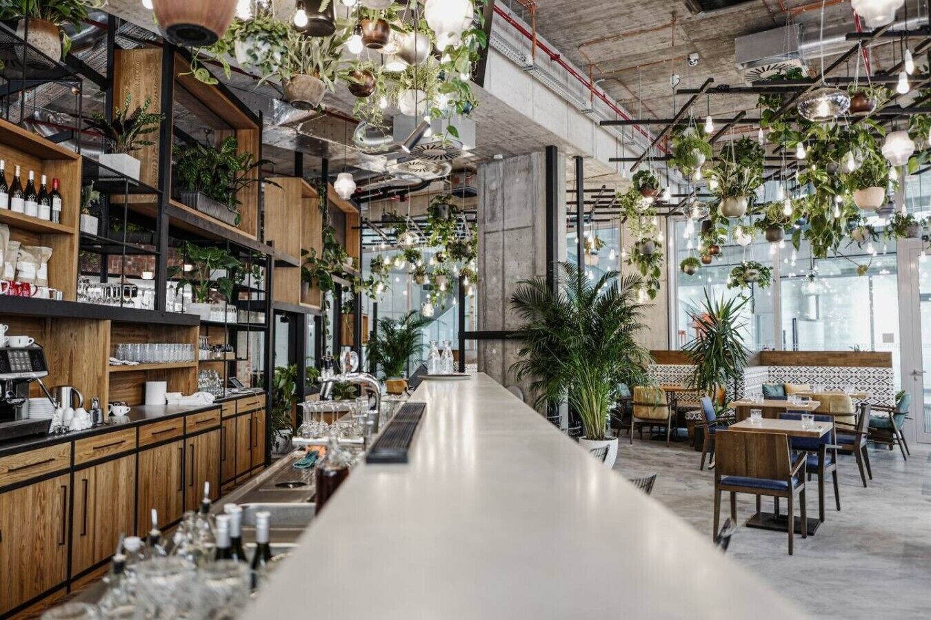 A modern bar with a long counter, wooden shelves, and hanging plants.