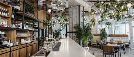 A modern bar with a long counter, wooden shelves, and hanging plants.