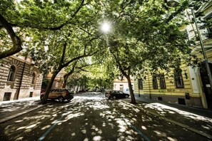 Une rue bordée d’arbres, avec des voitures garées de part et d’autre, et des immeubles qui la bordent.