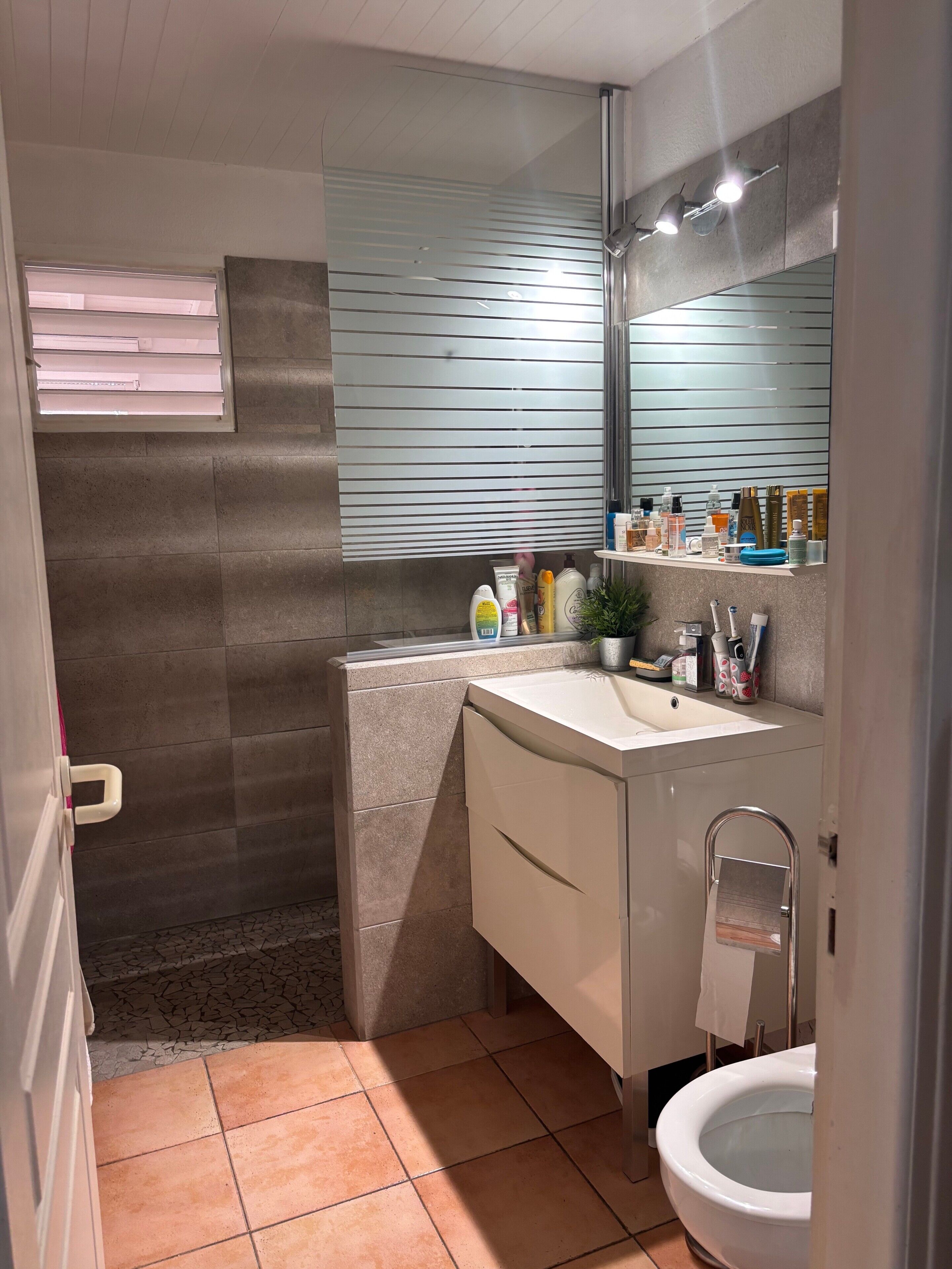Ein Badezimmer mit Dusche, Waschbecken, Pflegeprodukten, Spiegel und Toilette.