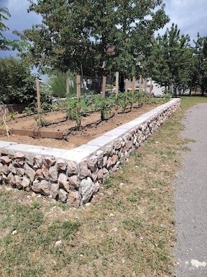 A garden with stone retaining walls and plants.