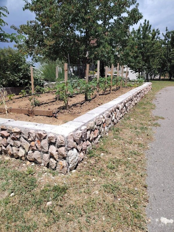 Property grounds - Villa Nina With Private Pool and Peacful Oasis (Imotski)