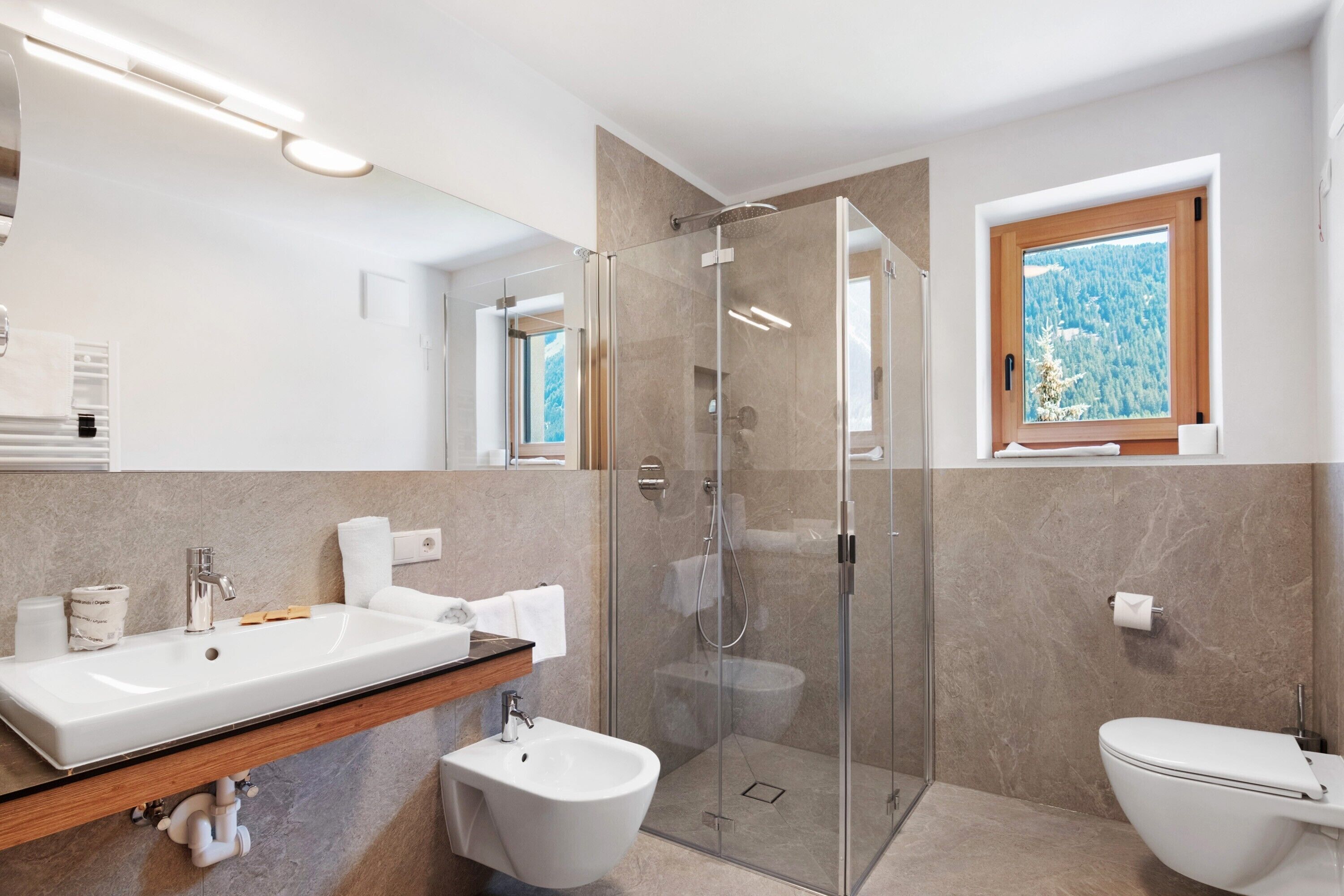 Dusche, Haartrockner, Handtücher
