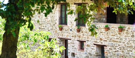 Un bâtiment en pierre doté de nombreuses fenêtres et orné de plantes en pot à l’extérieur.