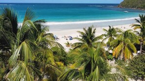 Ein Strand mit Palmen, sandigem Ufer und dem Meer.