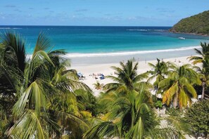 Une plage bordée de palmiers, une étendue de sable et l’océan.