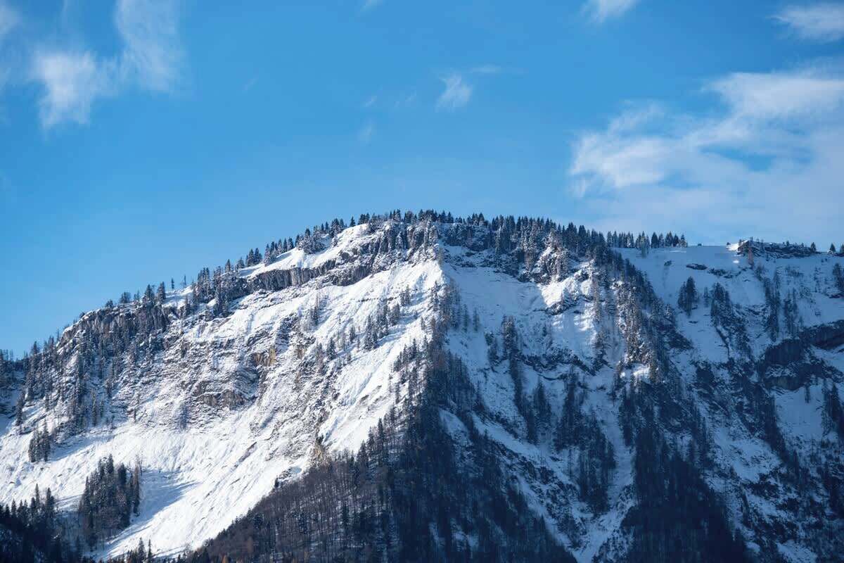 A snow-covered mountain with dense forests.