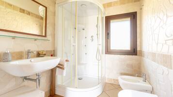 Shower, hair dryer, towels