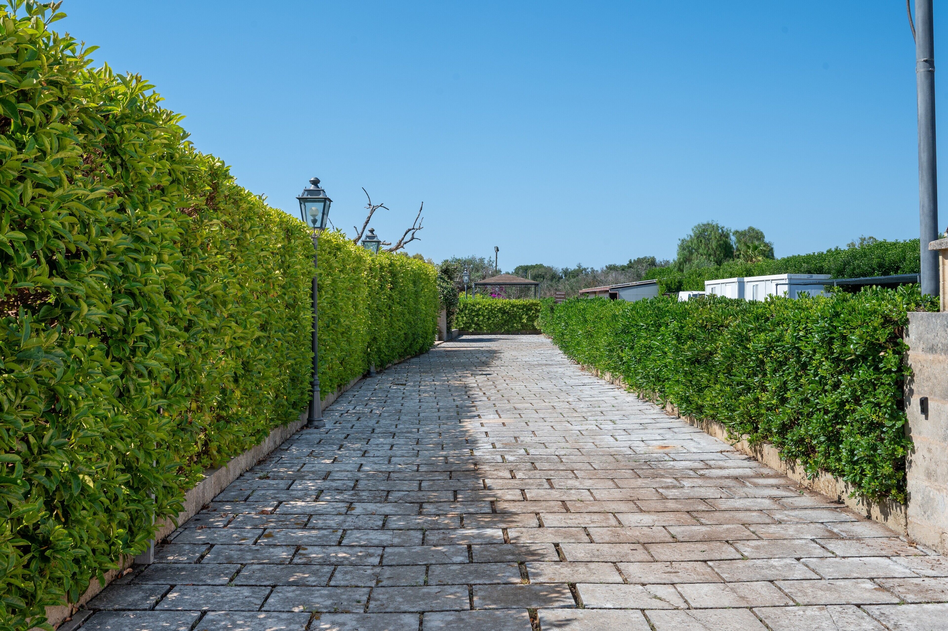 Un chemin pavé, bordé de haies soigneusement taillées, mène à un bâtiment où se trouve un lampadaire.