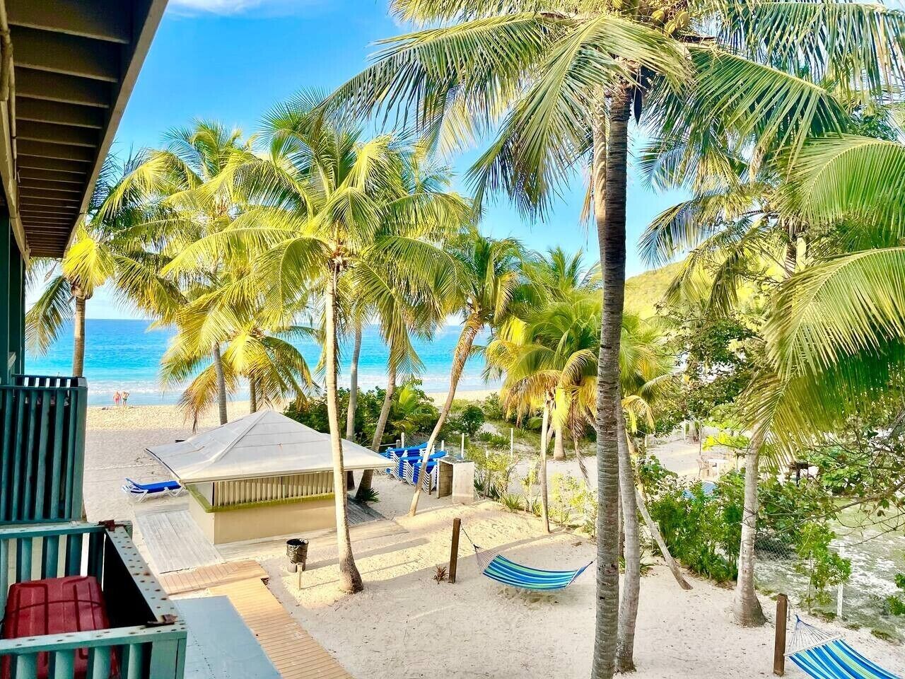 A beach view with palm trees, a beach hut, and a hammock.