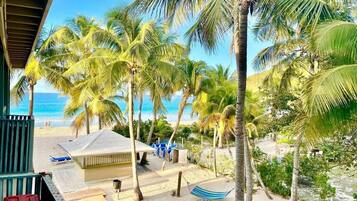 A beach view with palm trees, a beach hut, and a hammock.