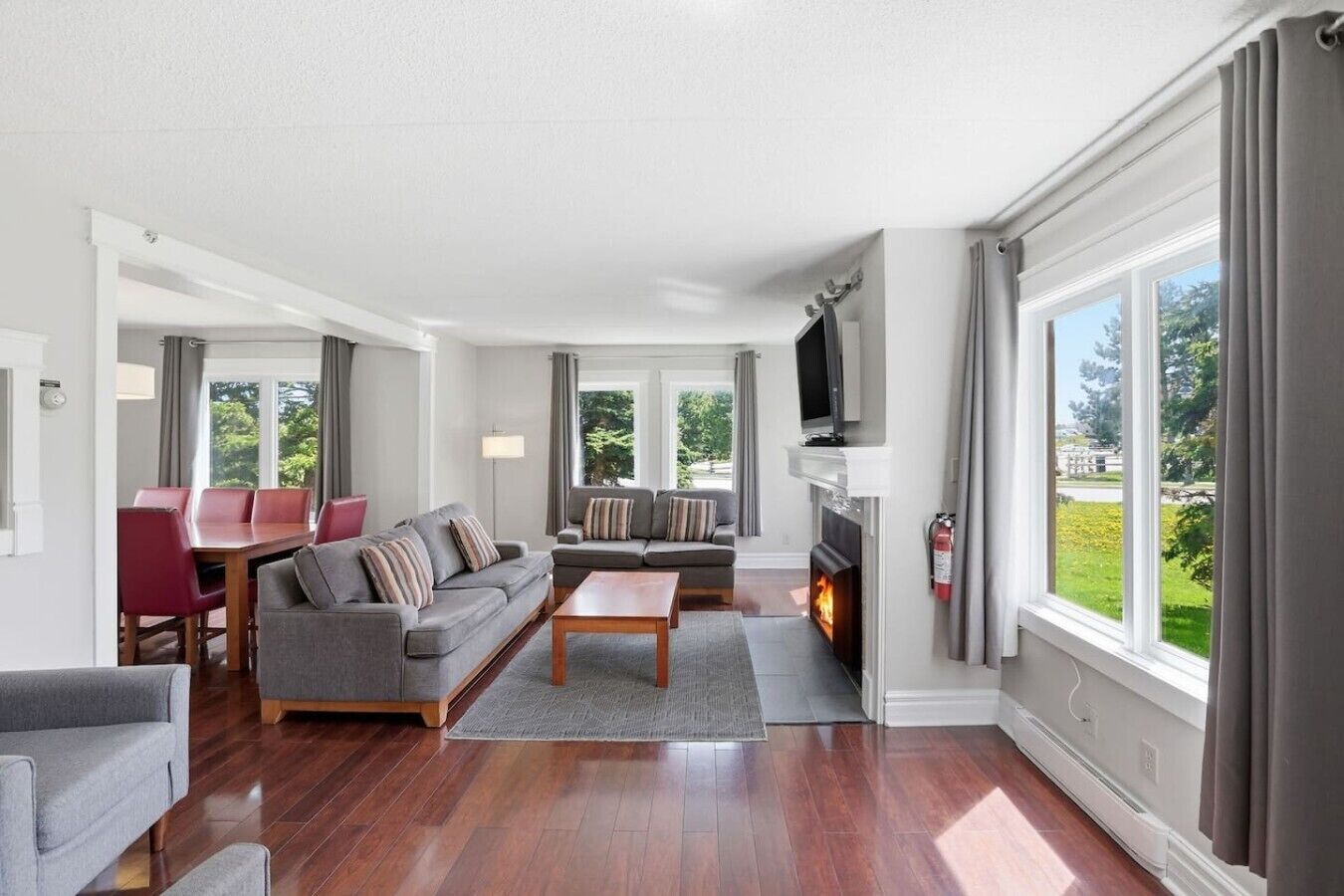 TV, fireplace