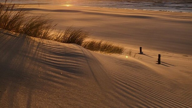Escena de playa con dunas de arena y un atardecer.