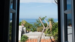 An open door with a view of a coastal landscape, including a tree and potted plants. - Bouganville by IschiaExp (Ischia Porto)