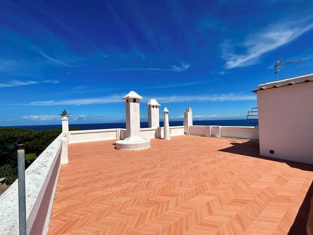 Terras