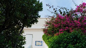 A staircase leading up to a white building with a blue sign, surrounded by green foliage and pink flowers. - Bouganville by IschiaExp (Ischia Porto)