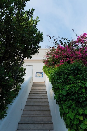 Property grounds - Bouganville by IschiaExp (Ischia Porto)
