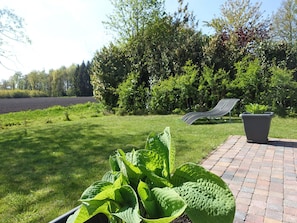 House | Garden - Vechtdal Chalet de Wilg (Rheezerveen)