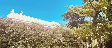 住宿地面