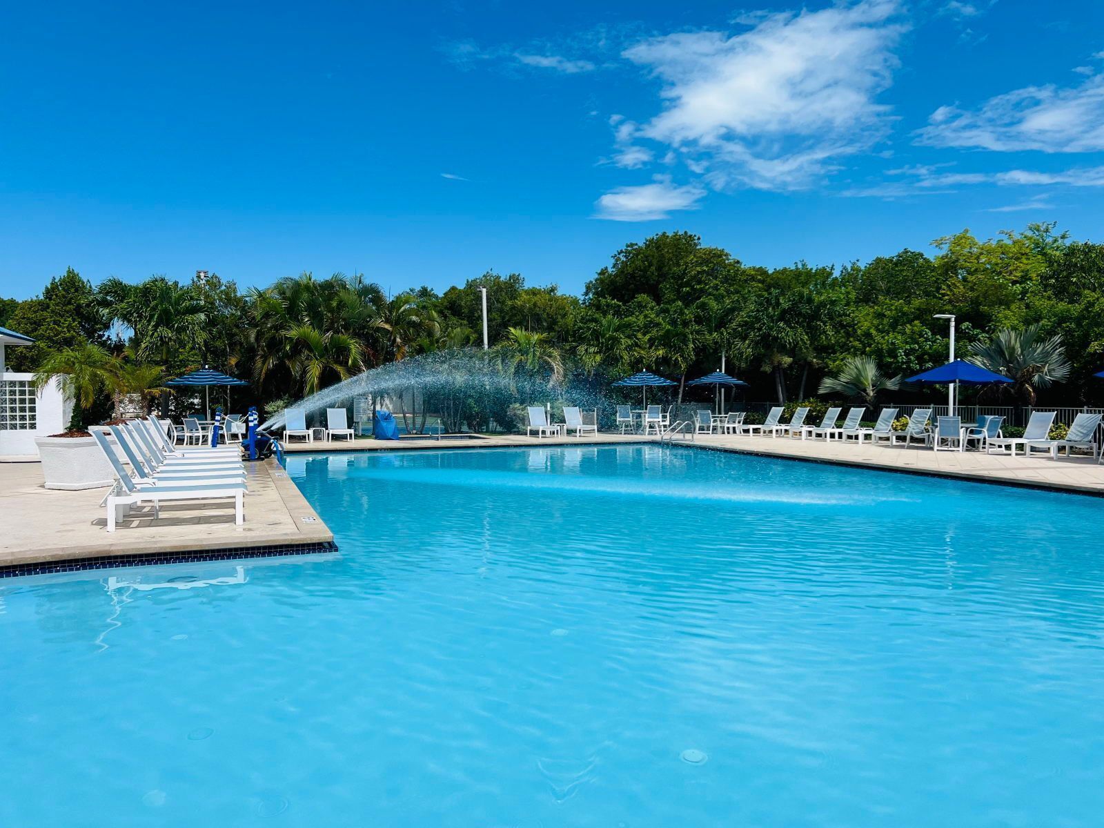 A swimming pool with lounge chairs and umbrellas, surrounded by trees.