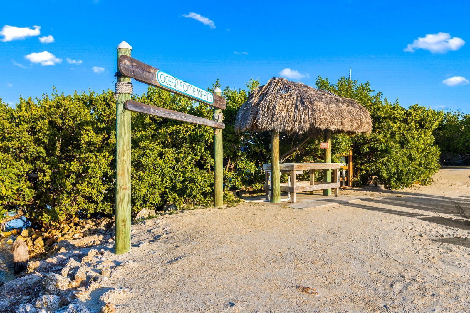 在海灘附近