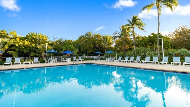 A swimming pool with lounge chairs and umbrellas, surrounded by palm trees and greenery.