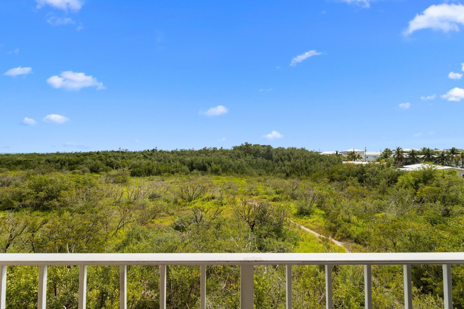 Une vue sur un paysage verdoyant et luxuriant, sous un ciel bleu azur.