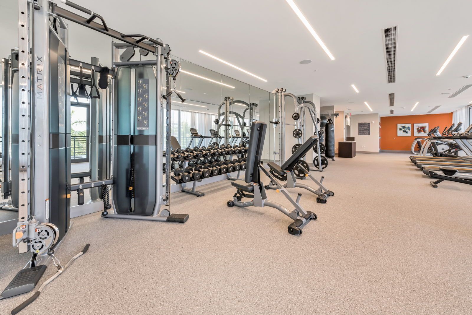 Un gimnasio con máquinas de pesas, mancuernas, cintas de correr y un espejo grande.