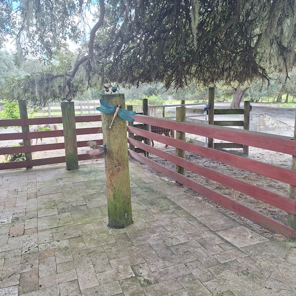 A wooden fence with a dragonfly decoration and a wooden post.