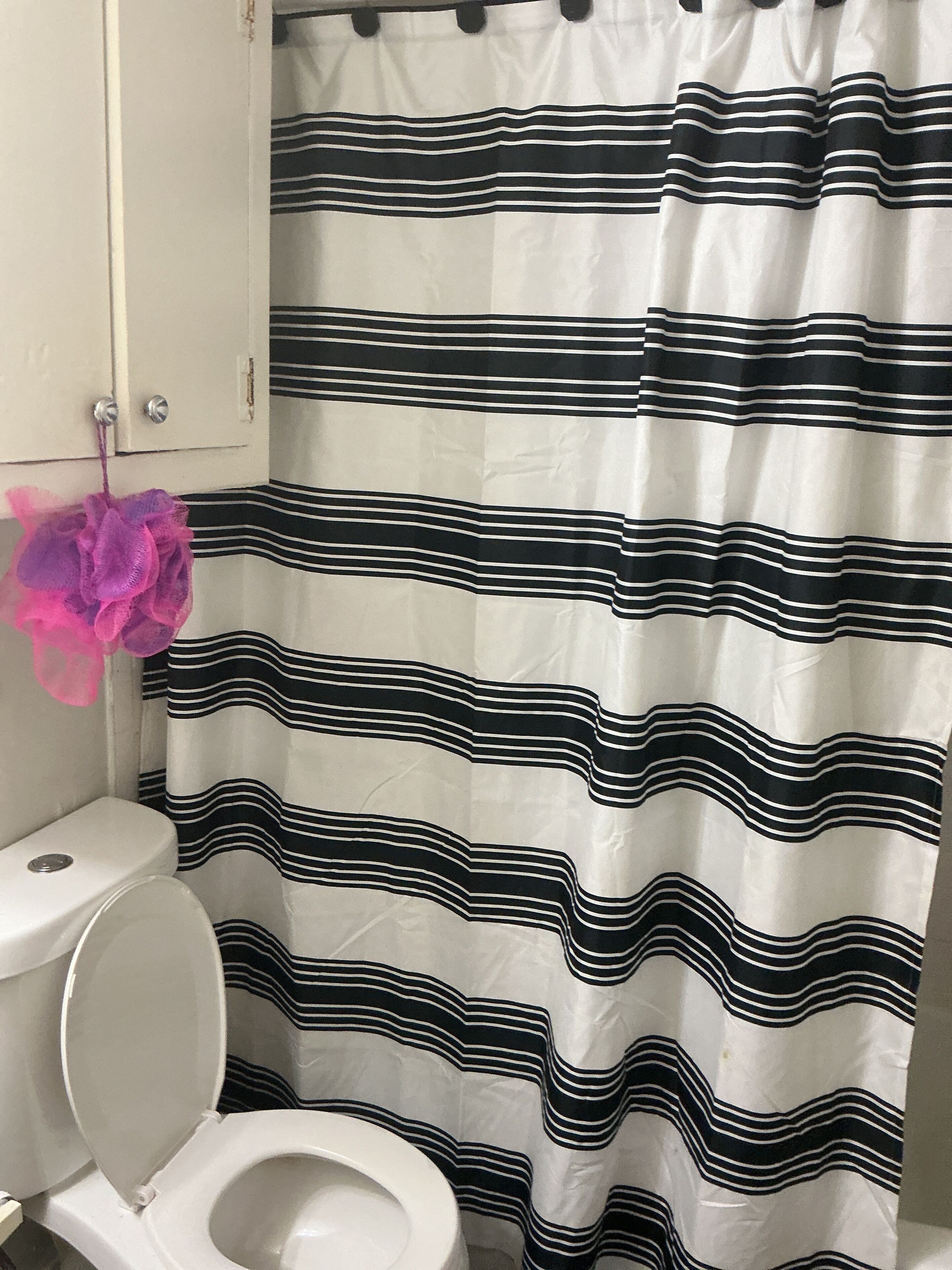 Ein Badezimmer mit gestreifter Duschvorhang, Toilette und einem rosa dekorativen Gegenstand an der Wand.