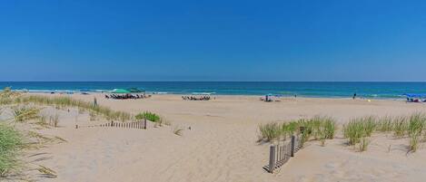 Playa